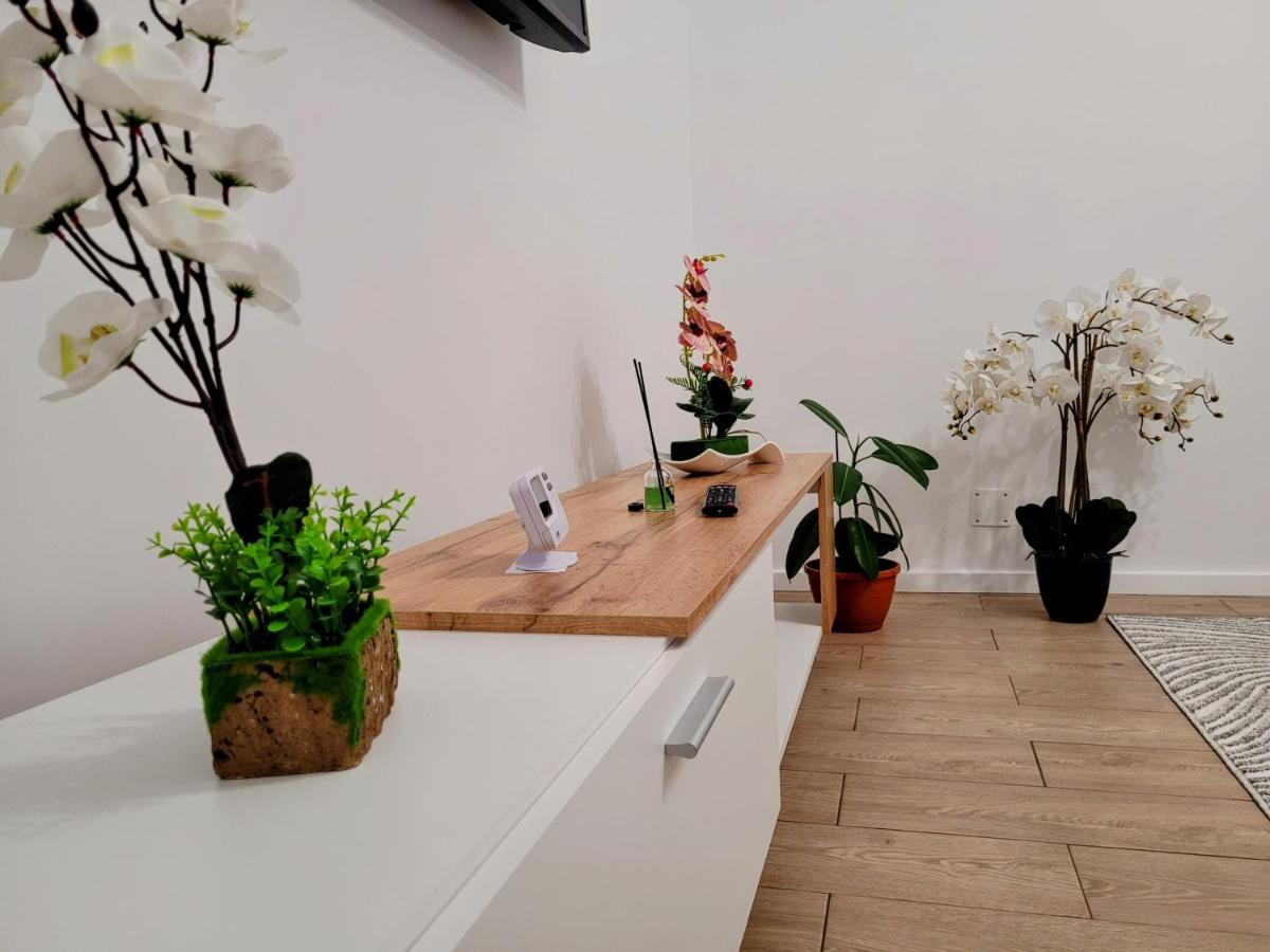 Casa Feli Apartment Brasov Luaran gambar